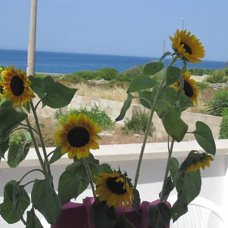 La Maison Blue Salento - La Tua Casa Fronte E Vista Mare 公寓 托雷圣乔万尼乌